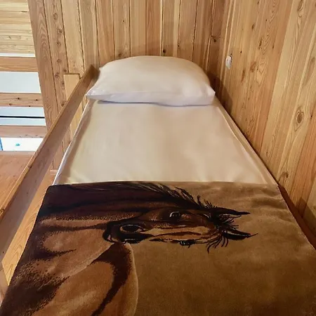 Hucul Apartment Brenna